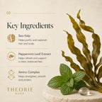 Key ingredients of a hair care product with sea kelp, peppermint leaf extract, and amino complex on a beige background.