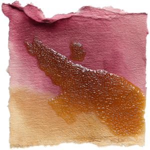  Fig Honey
