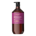 Theorie Helichrysum & Plum Nourishing Shampoo bottle with purple label on a white background